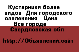 Кустарники более 100 видов. Для городского озеленения › Цена ­ 70 - Все города  »    . Свердловская обл.